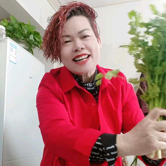 苏二林