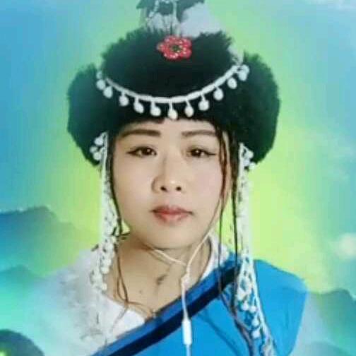 商洛鱼鱼