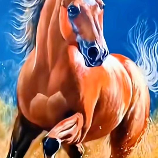 你是风儿.我是沙。