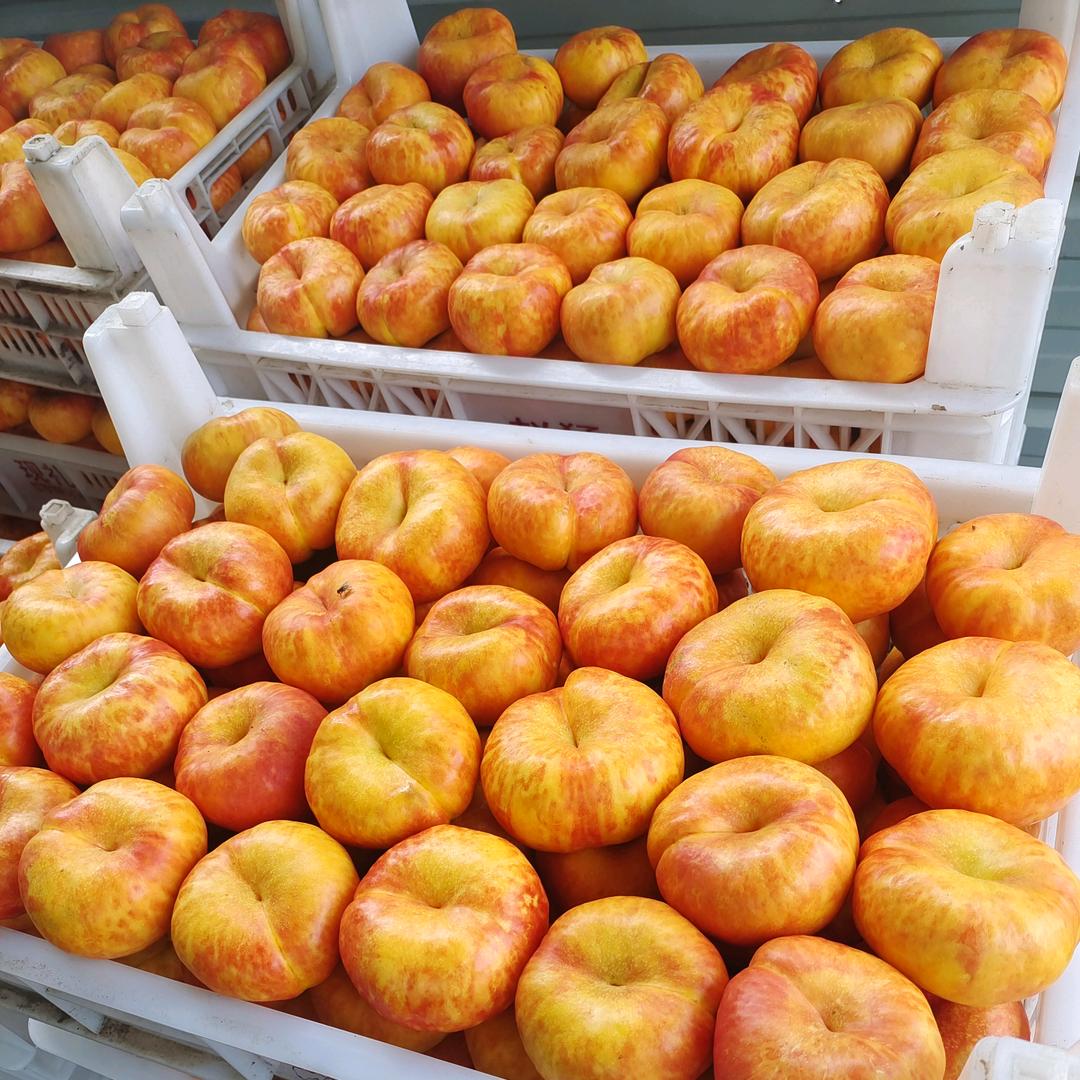 千年难遇李老师