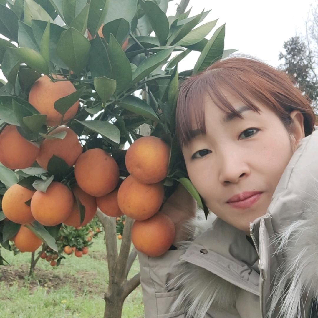 77妹