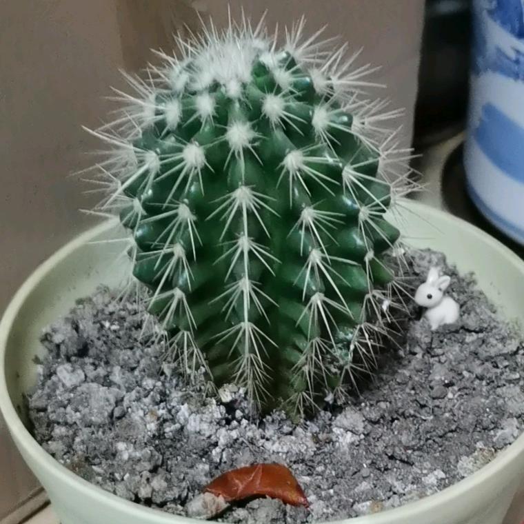 深秋🍂头像