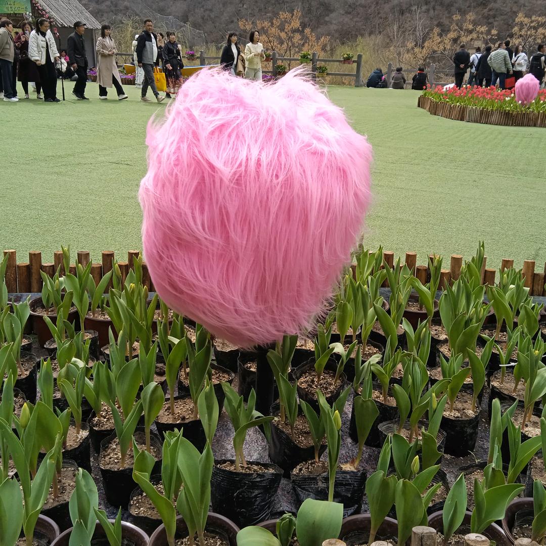 人无百日好，花无百日红！