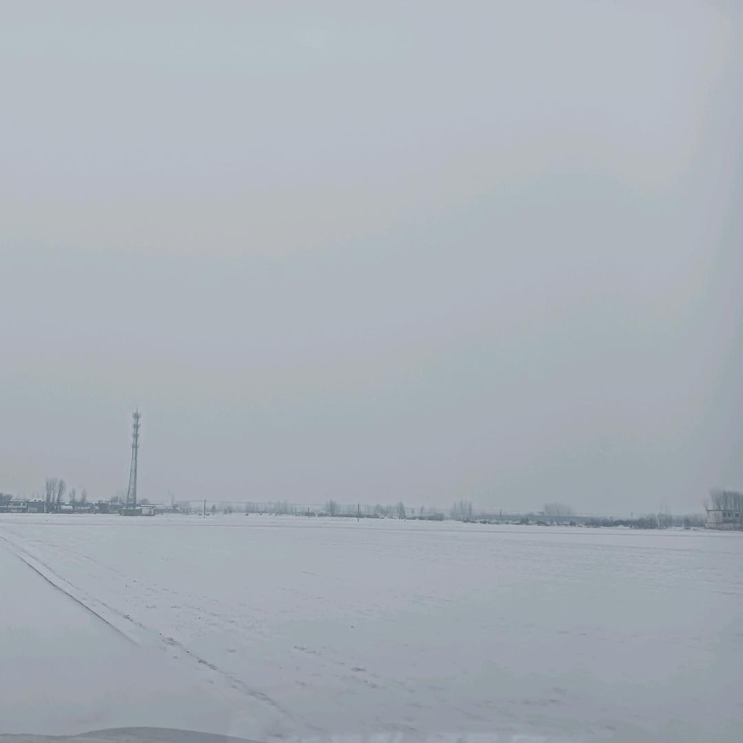 涛。哥