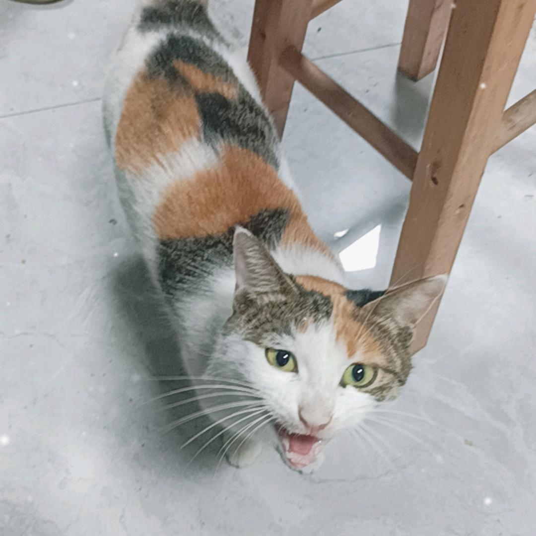 风雨无阻