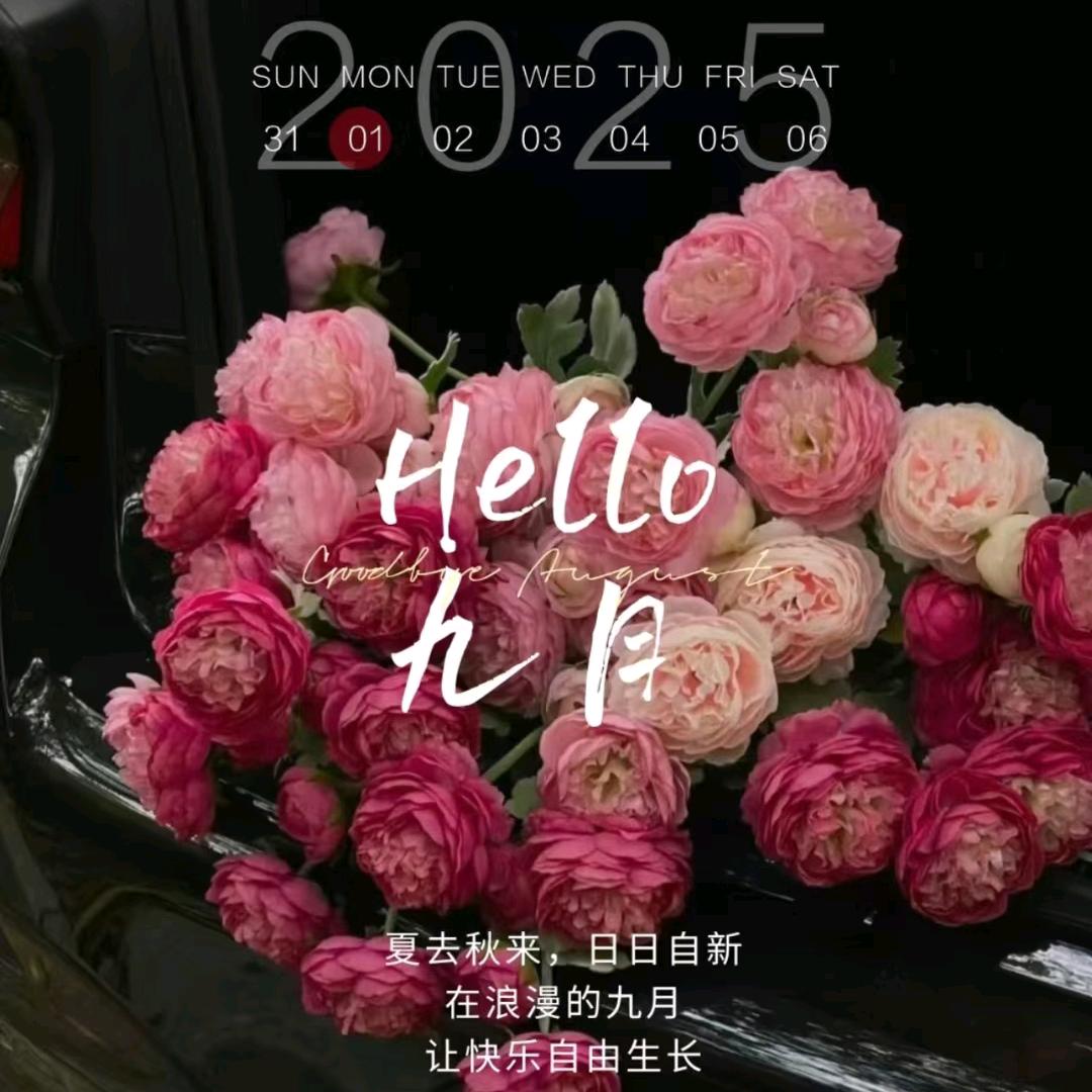 丽姐♥