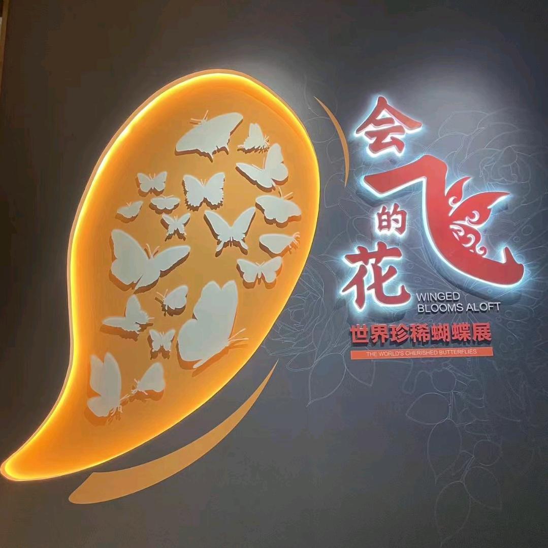 宠你一生不变