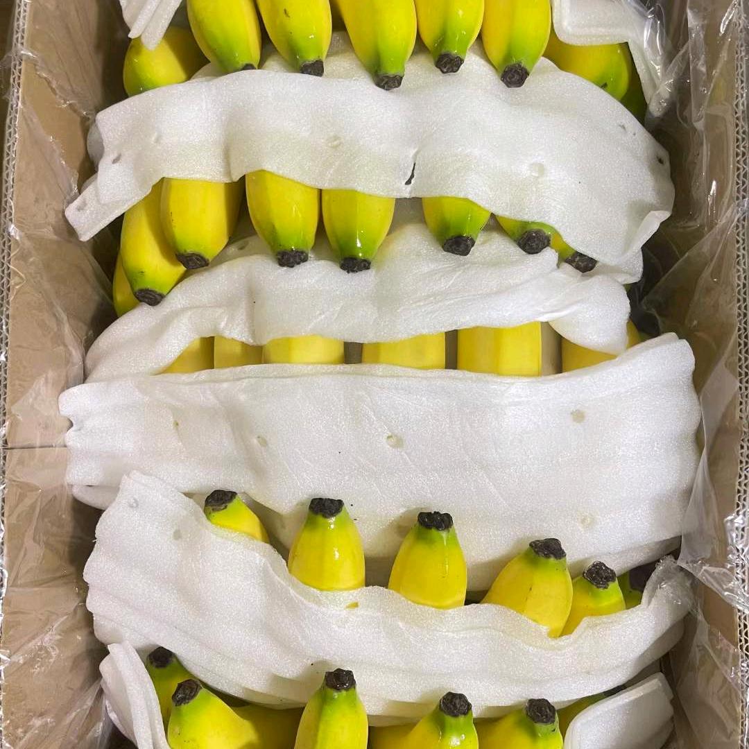 一个人寂寞的时候，我的脑海里全是你的影