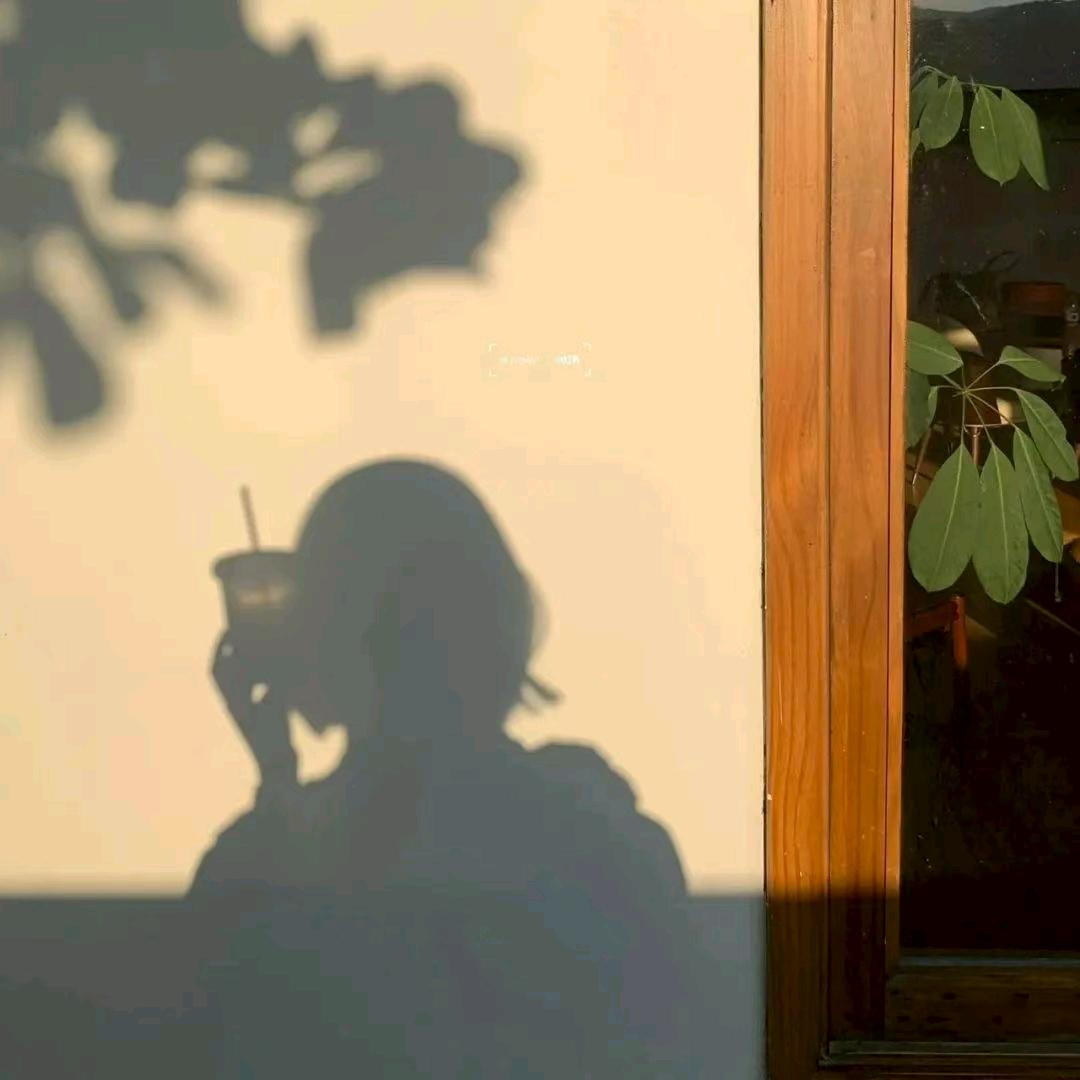 洋芋头.