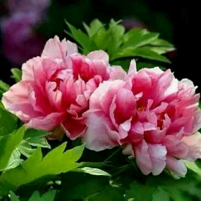 开开心心过好每一天