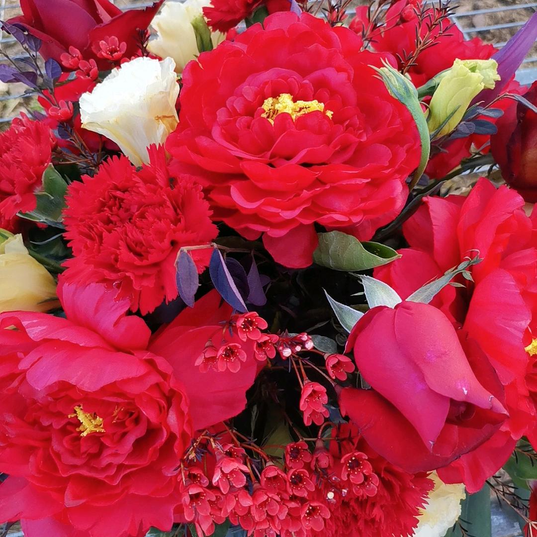 开心每一天🌹🌹🌹