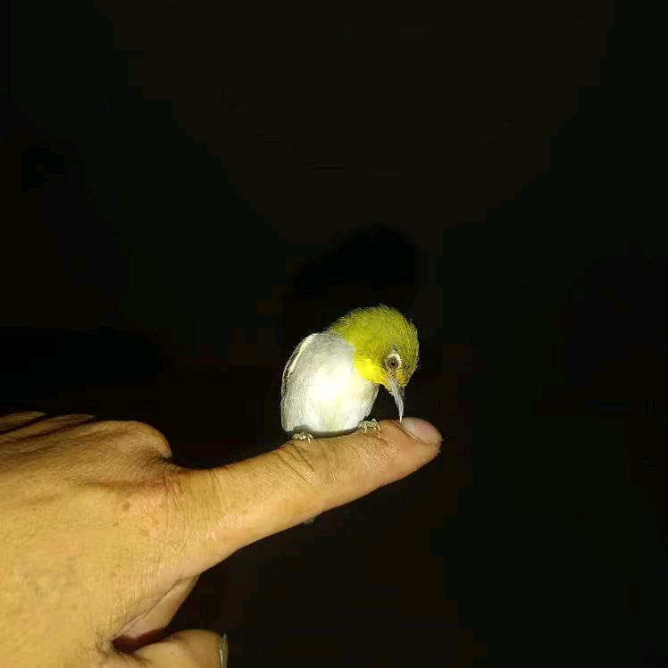 走在一起是一种缘分