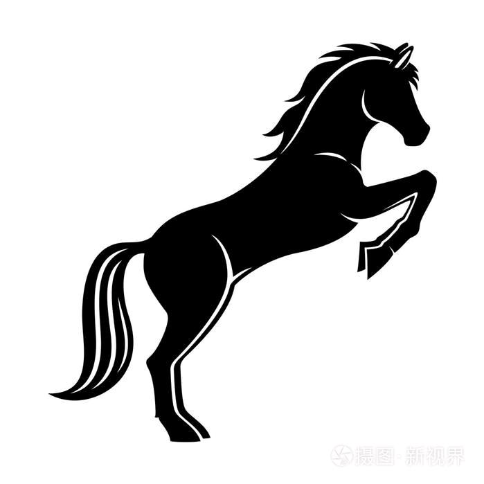 伯乐马术俱乐部官方号