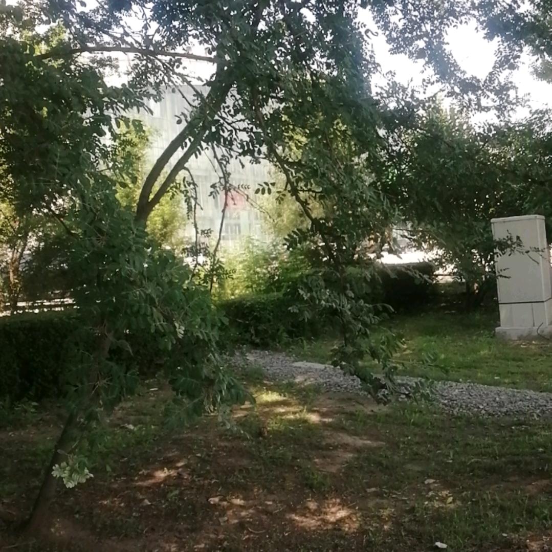 老男人〈梦之队〉