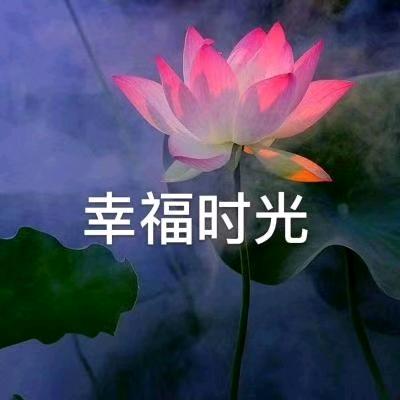 心事都在歌里