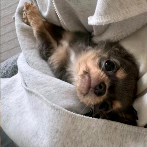 ￴￴￴￴￴￴￴￴￴￴￴￴￴￴￴￴