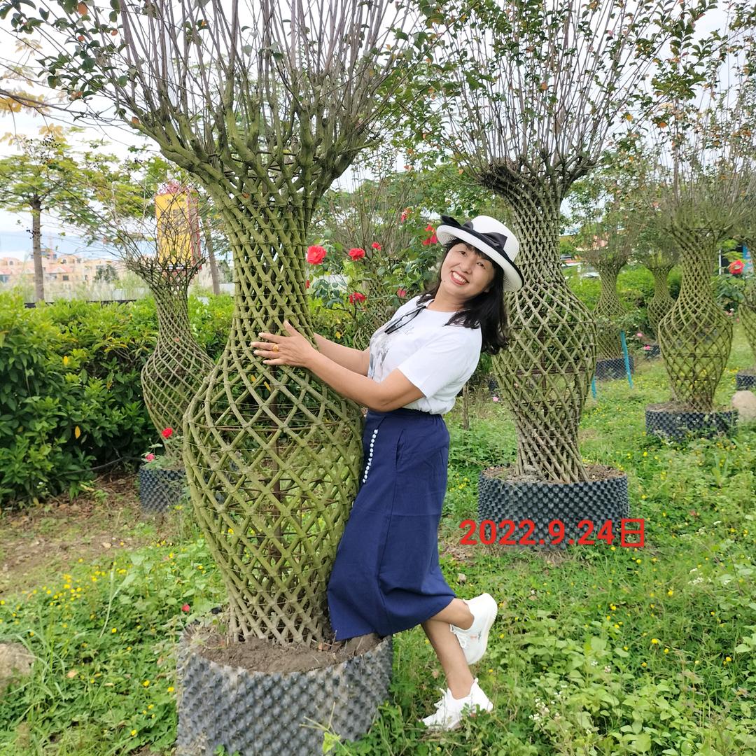 人生路漫长，指不顶谁疯狂，指不定谁辉煌