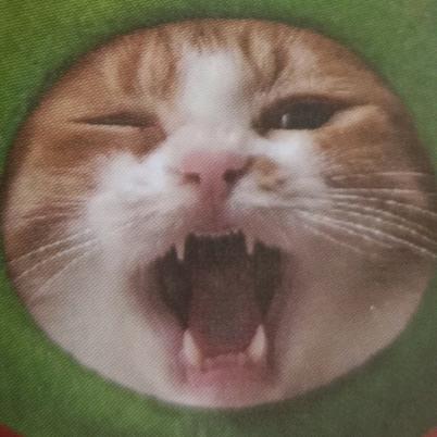 无悔青春哥也混过