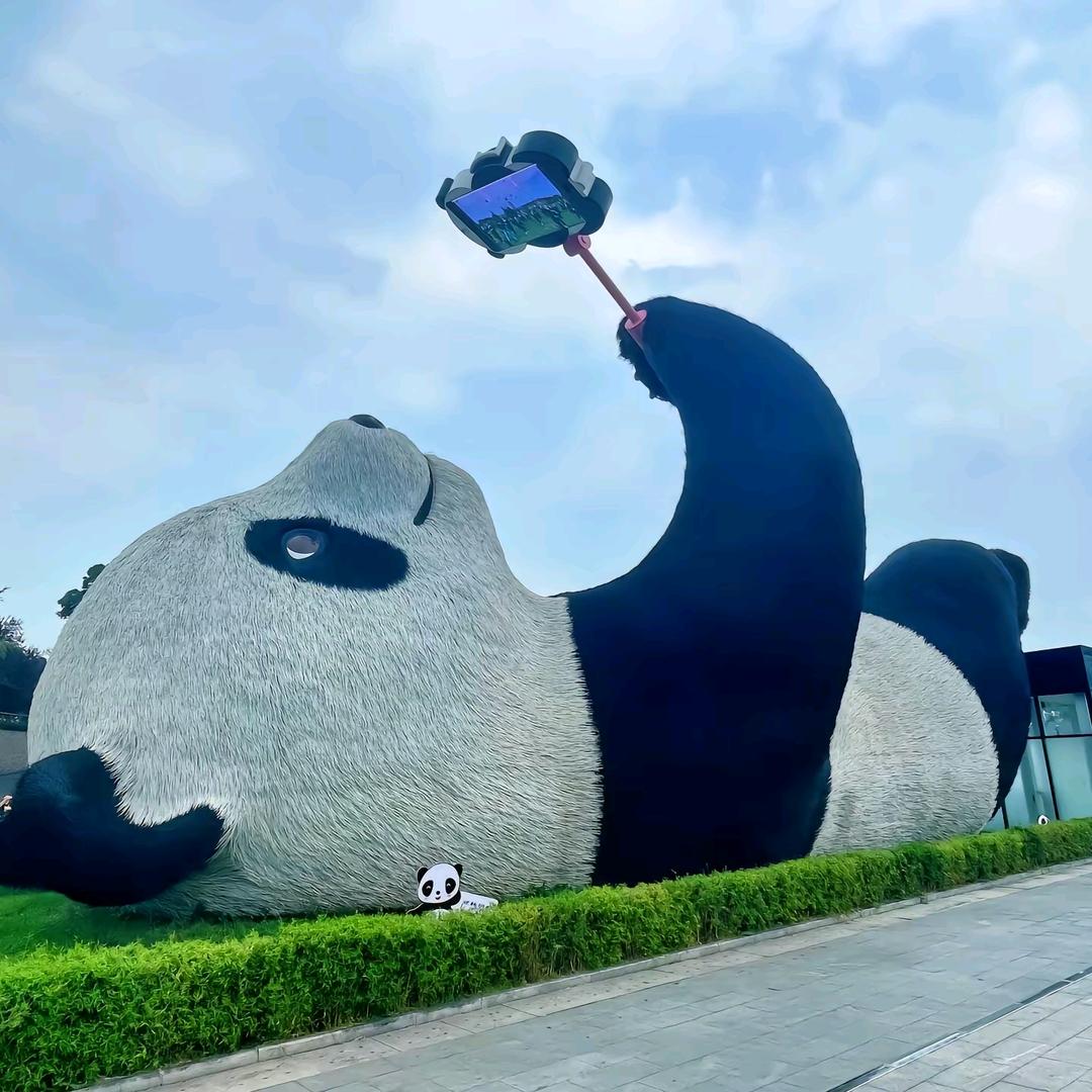 橙橙闲不住