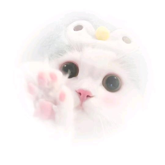 海州区陈程妙梦时尚服饰铺