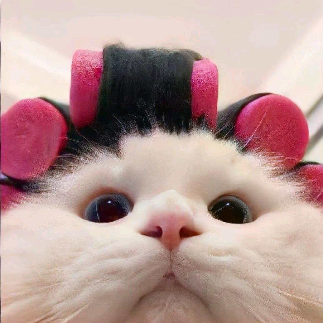 韦𝐂𝙞 𝐂𝙞