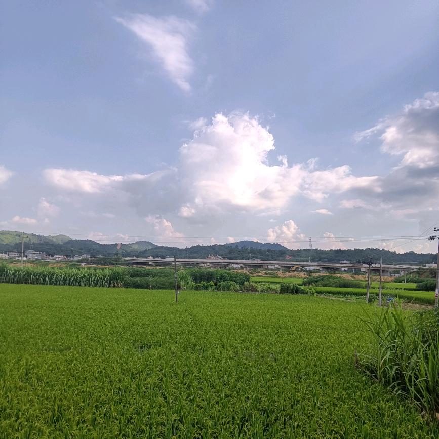 爱你不需要理由