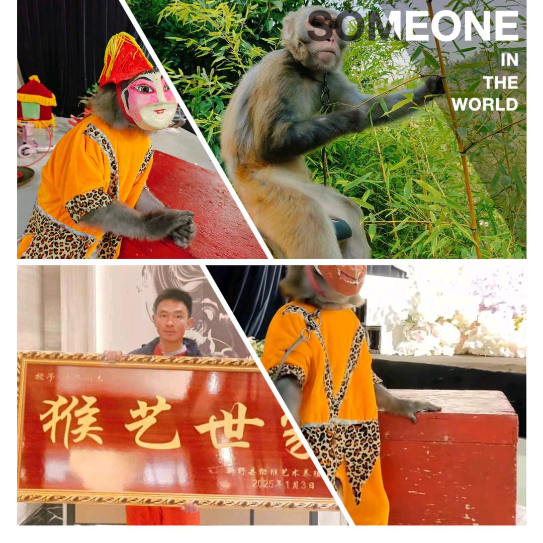 猴戏世家老于