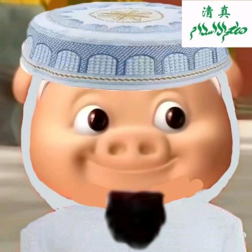 不吃猪肉烤盐版