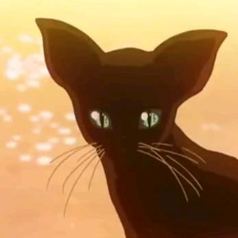 ひかり