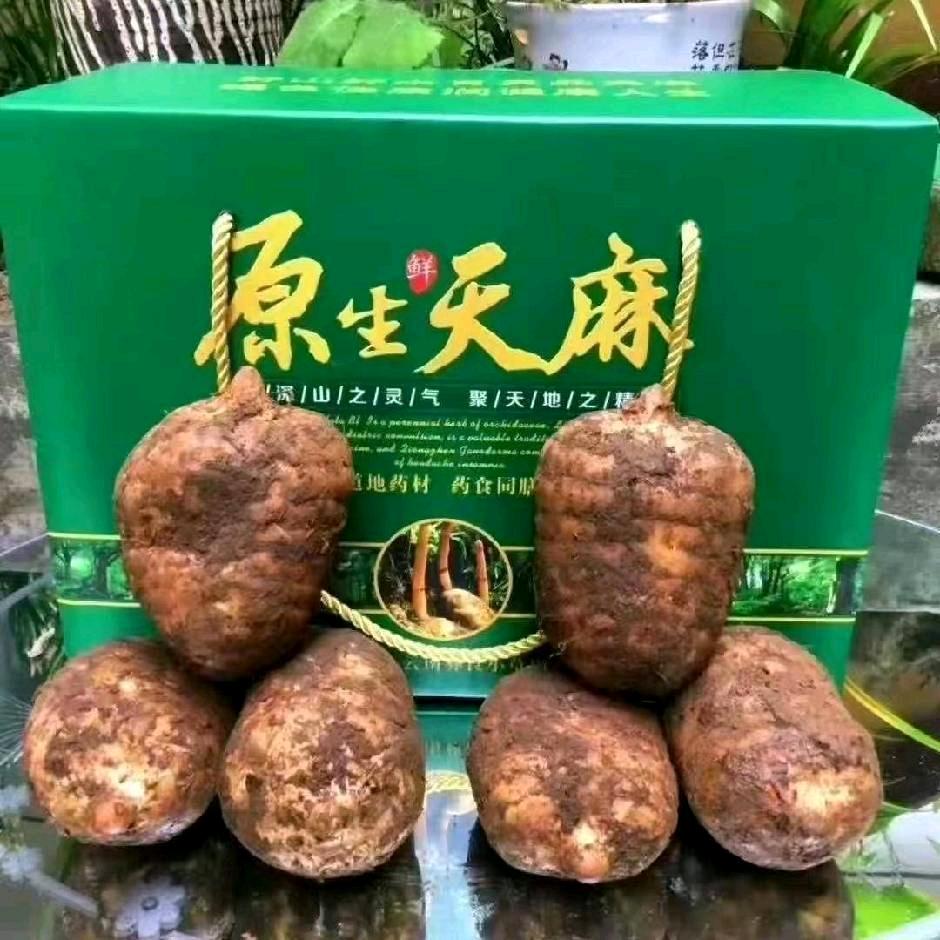 冲动是魔鬼😈🤦‍♂️