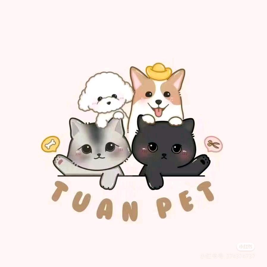 壹点嘟嘟工作室