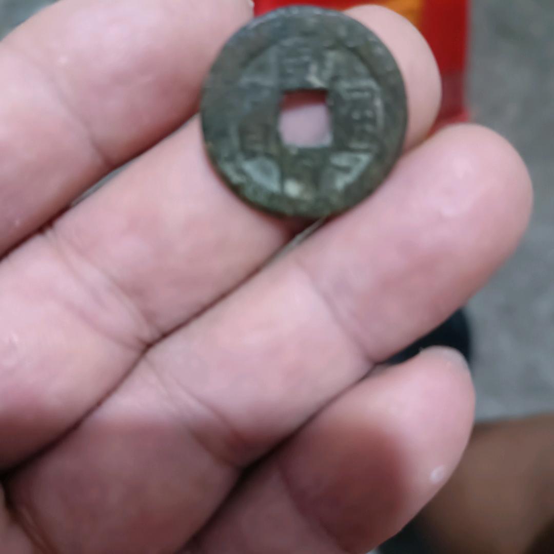 路边野花不要采
