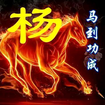 杨司令户外野钓鲫鱼