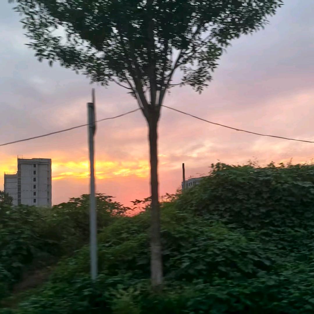 八一张