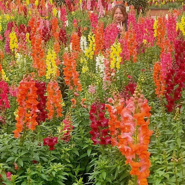 川S为幸福拼搏唐哥