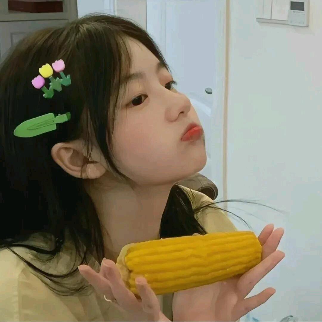 团趣小糖