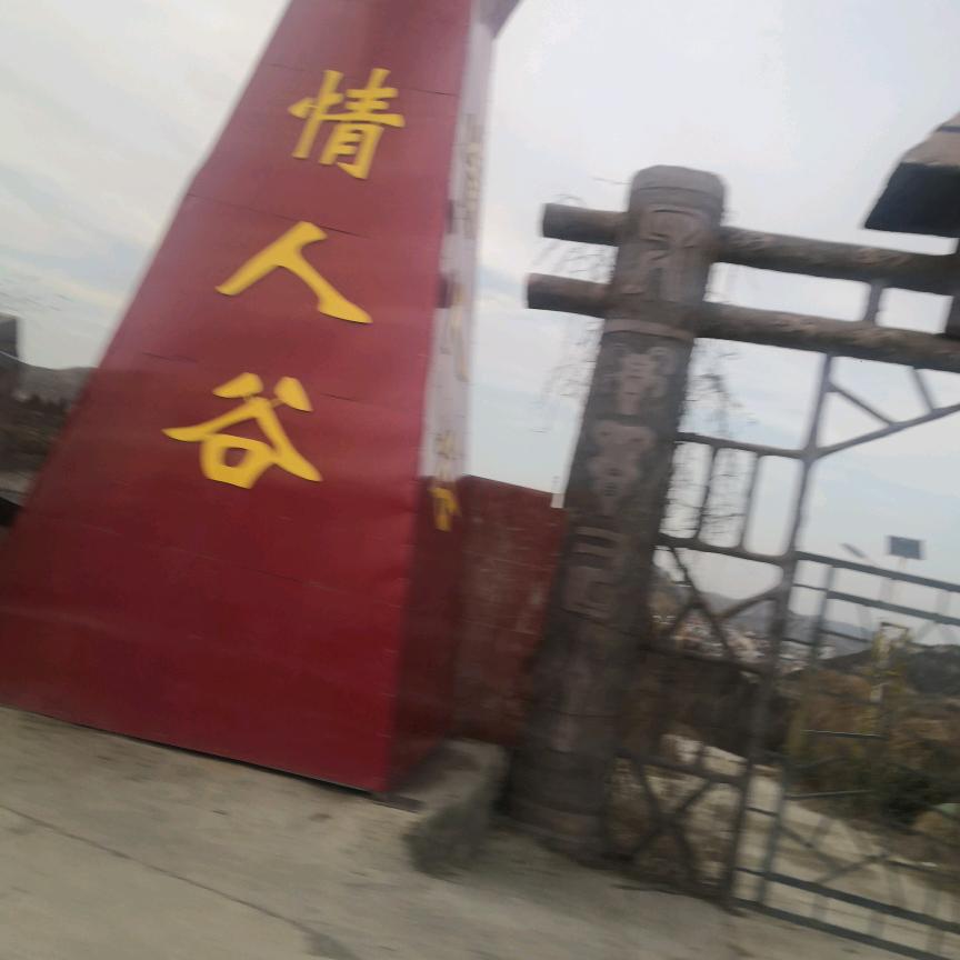 忘忧草.