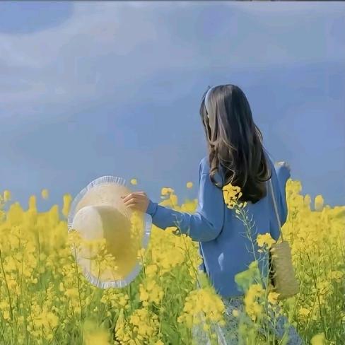 💞ℒᎭℯ⃝樱花草💕⁵²º࿐