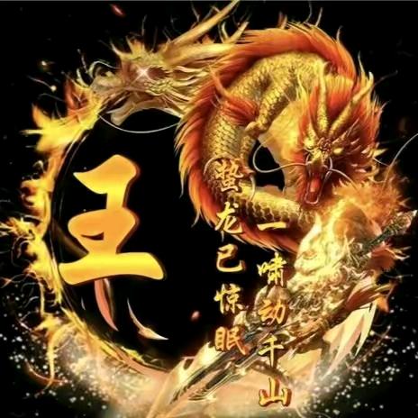 布衣先生