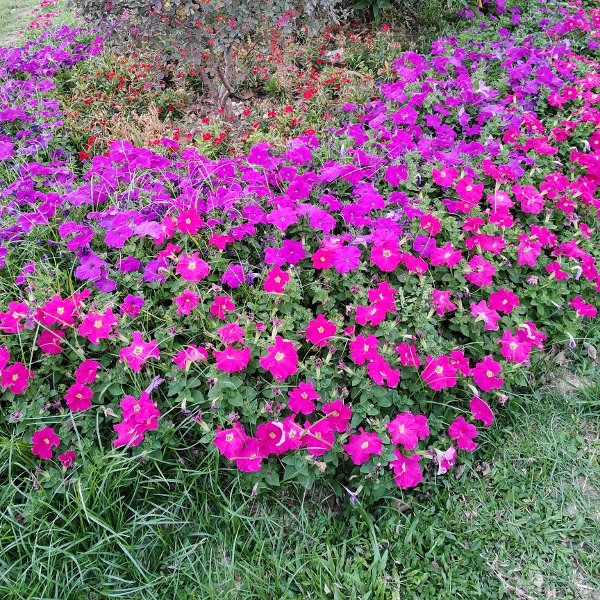 ˚*̥(∗*⁰͈꒨⁰͈)*̥哇哦~