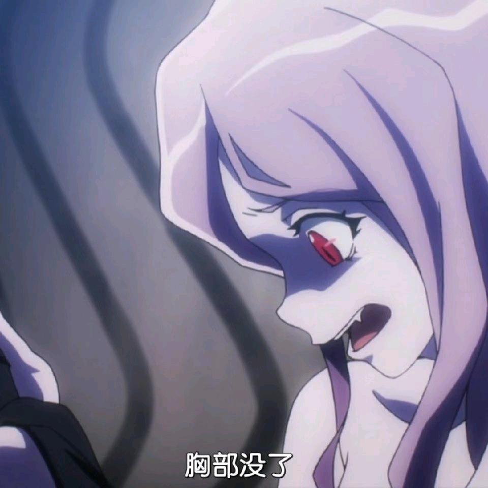 车模不要钱