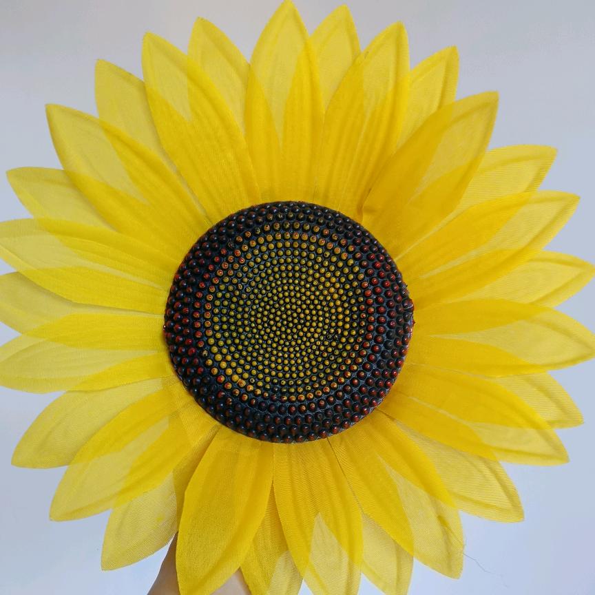 🌻丽丽