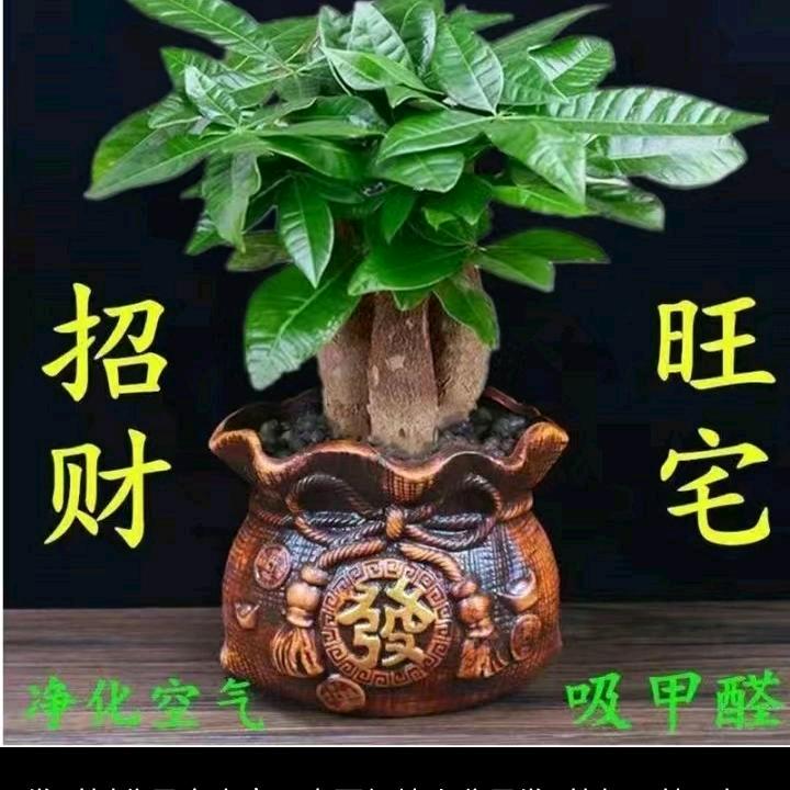 真心才有一个真爱