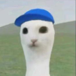 我想要两颗西柚