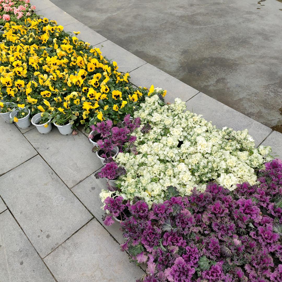 💞空有温柔❤️💖