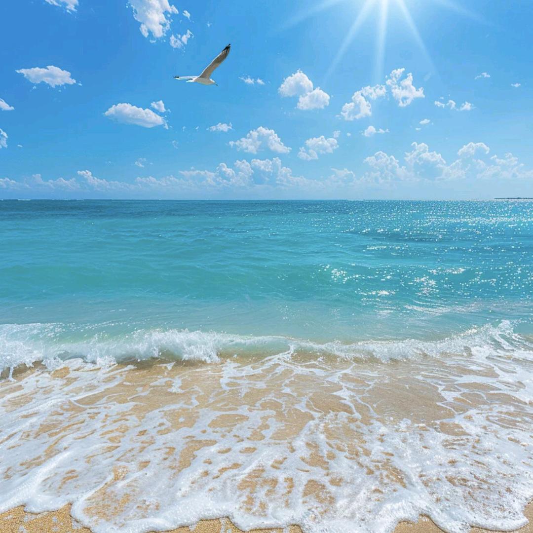 风吹向大海