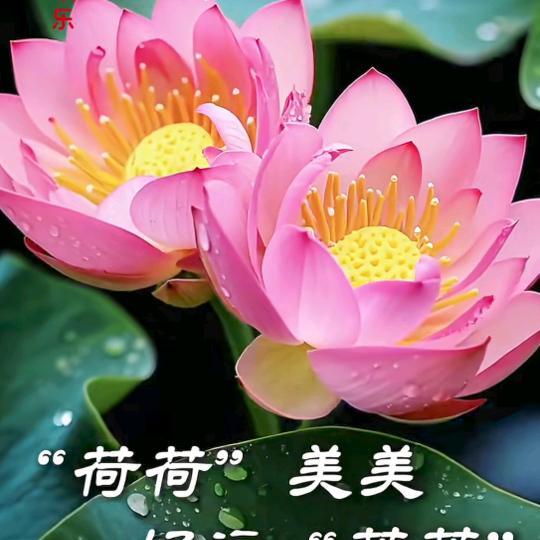 朋友说名字太长会有小笨蛋跟着读✌🏻