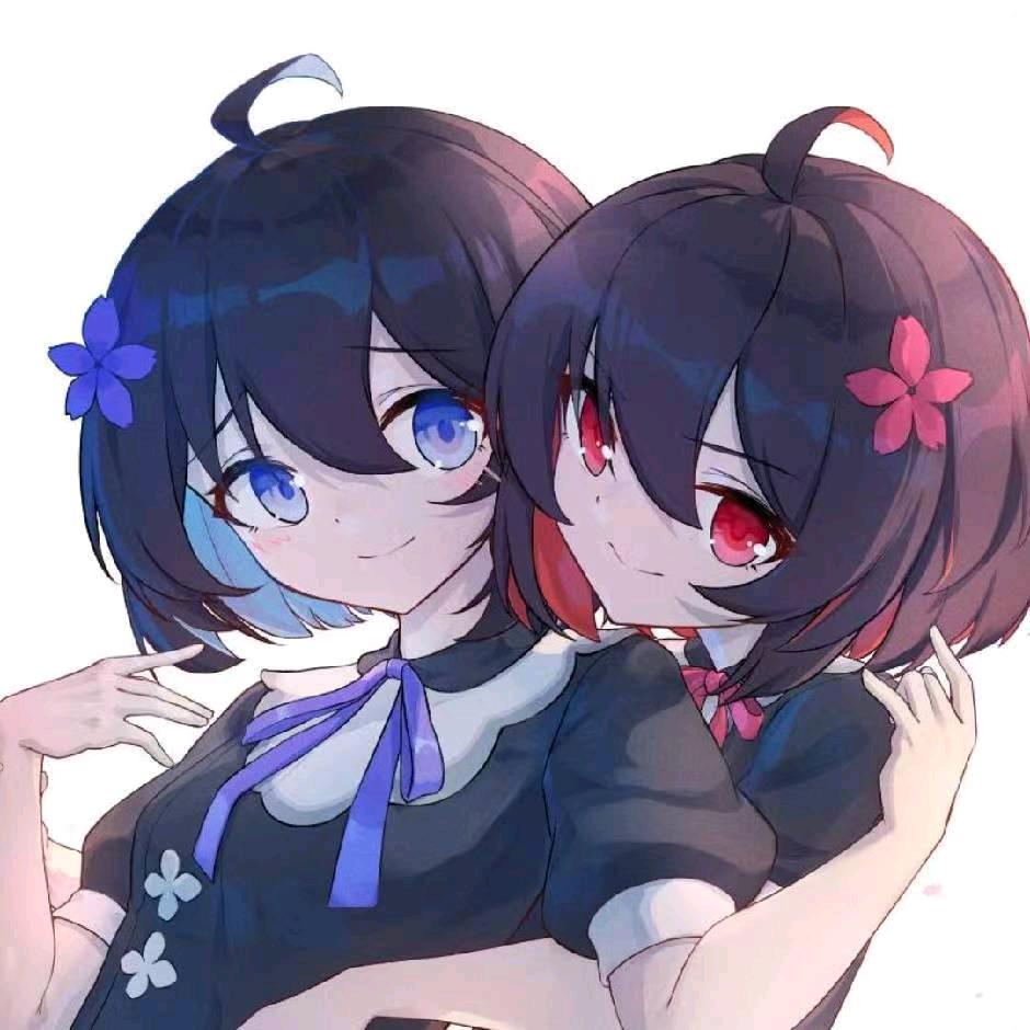 术枫