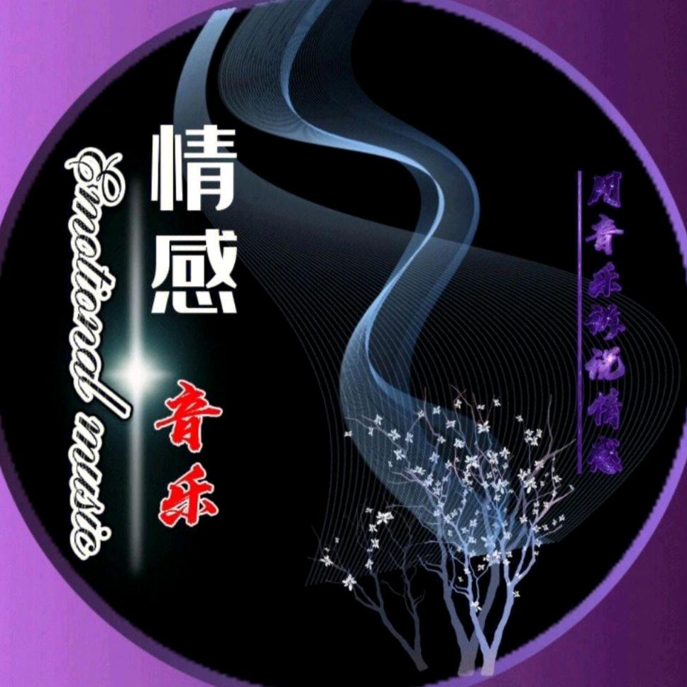 🎵音乐视频