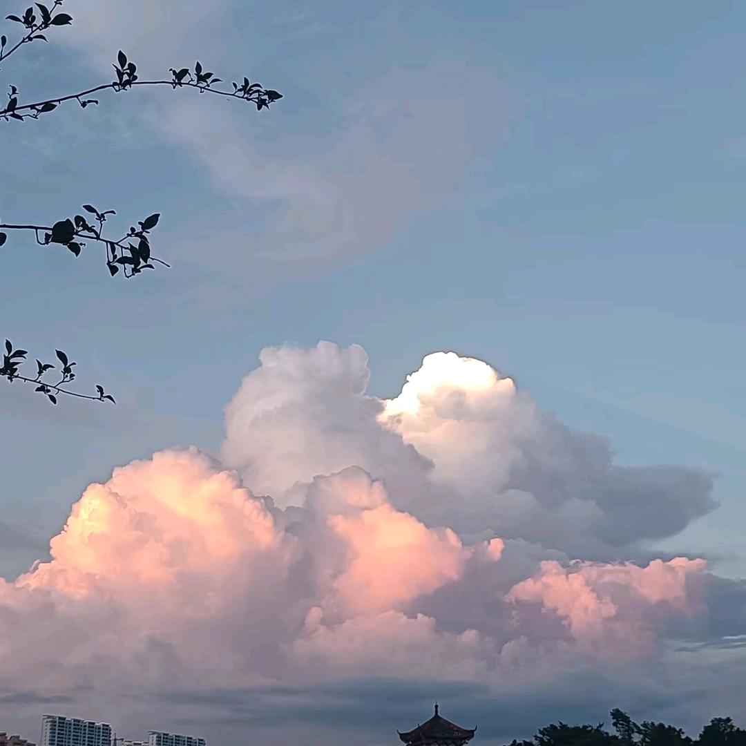 英雄联盟——BB机